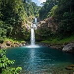 Kolumbiyanın Kofe Bölgəsində Gizli Şəlalələr: Unudulmaz Səyahət Yolları