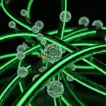 Kvant Rabitəsi: Gələcəyin İnternetini Necə Təhlükəsizləşdirəcək?