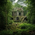 Meksikada Gizli Maya Arxeoloji Məkanları: Qədim Sivilizasiyanın Gözə Dəyməyən İzləri