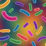 Mikrobiom və Xərçəng: Sağlamlığın Təzə Üfüqləri və Müasir Müalicə Yolları