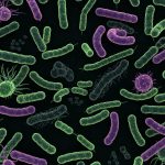 Mikrobiomun Stressə Qarşı Rolu: Elmin Sirri, Sağlamlığın Yeni Qapısı