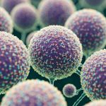 Nanotexnologiya Stresslə Mübarizədə: Qədim Təbii Üsulların Elmi Təsdiqi