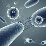 Nanotexnologiya və Mikrobiomun Kəsişməsi: Xərçəngə Qarşı Yeni Müdafiə Xətti