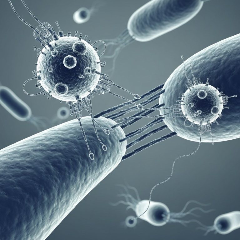 Nanotexnologiya və Mikrobiomun Kəsişməsi: Xərçəngə Qarşı Yeni Müdafiə Xətti