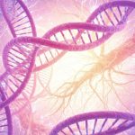 Nanotexnologiya və Stress: Qədim Təbii Üsulların Elmi Təsdiqi ilə Yeni Ümidlər