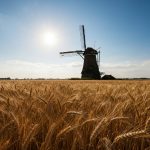 Niderlandda Sahibkarların Gəlirləri: Ən Gəlirli Bizneslər və Bazar Trendləri