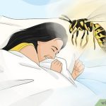 Yuxuda Arı Vurması – Mənası, Psixoloji və Ənənəvi Yozumlar