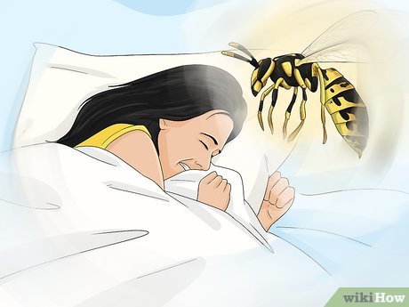 Yuxuda Arı Vurması – Mənası, Psixoloji və Ənənəvi Yozumlar