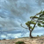 Yuxuda Külək Görmək Nə Deməkdir? – Ətraflı Yozum və İzah